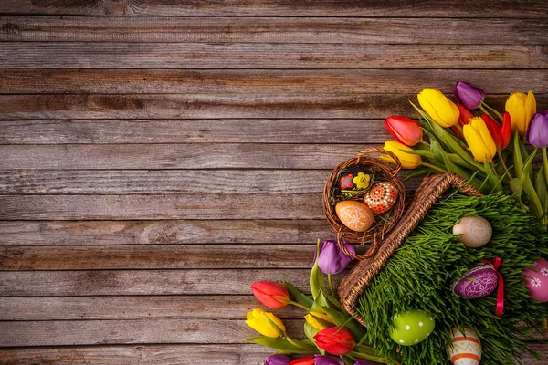 Easter Eggs Tulips Wooden Board Easter Holiday Concept Copyspace Text — Stock Photo, Image