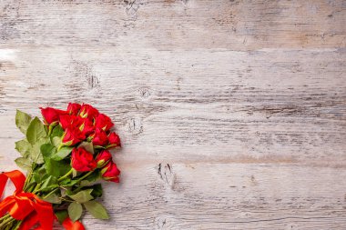 Taze kırmızı bahçe gül 