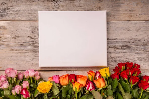 Flores de rosas coloridas — Fotografia de Stock