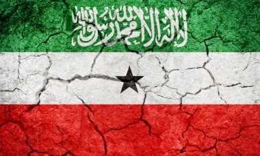 Somaliland Cumhuriyeti bayrağı