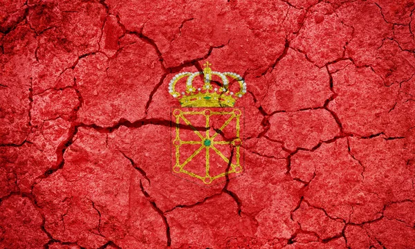Chartered gemenskapen av Navarre flagga — Stockfoto