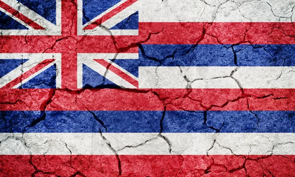 Vlajka amerického státu Hawaii — Stock fotografie