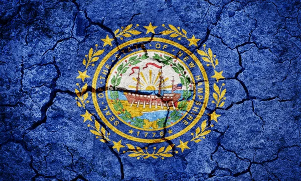 Flaggan av i delstaten new hampshire — Stockfoto