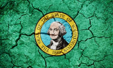 Washington Devlet bayrağı 