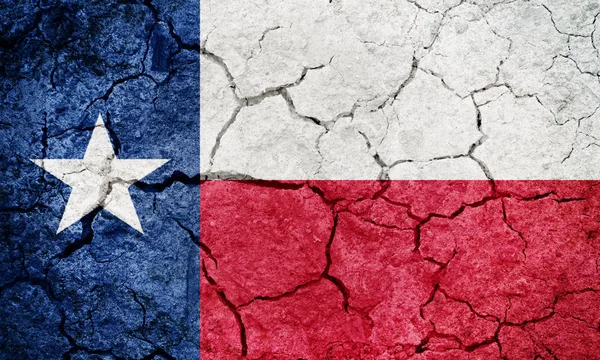 Texas zászlaja Stock Kép