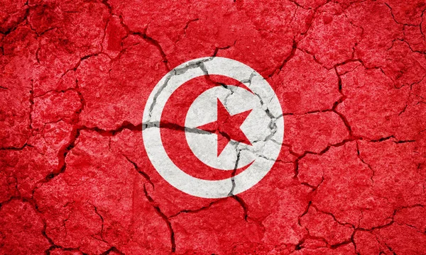 チュニジア共和国の旗 ストック画像