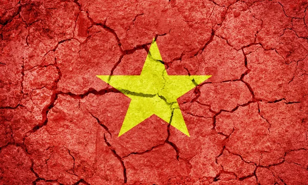 Socialist Republic of Vietnam flag — 스톡 사진