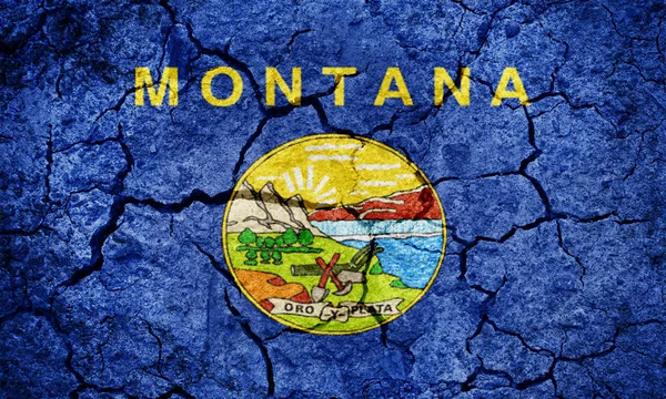 Bandeira do estado de Montana — Fotografia de Stock