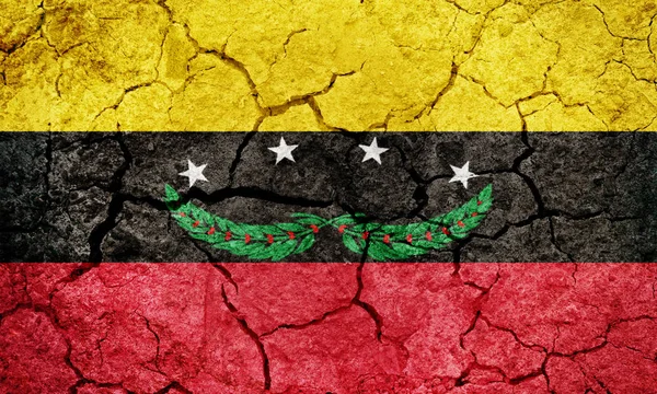 Tachira staat vlag — Stockfoto