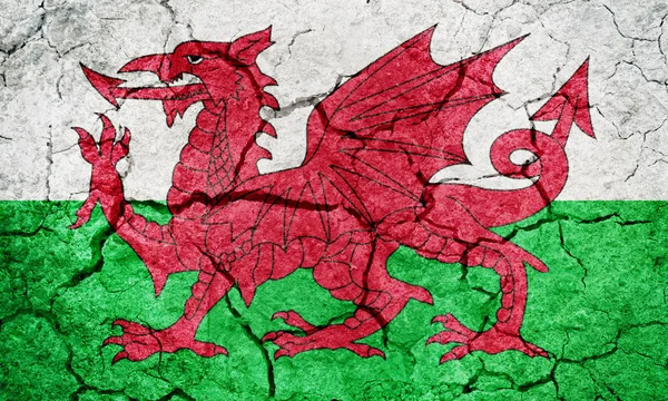 Vlag van Wales — Stockfoto