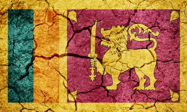 Vlag van Sri lanka — Stockfoto