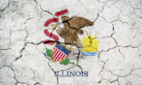 Flagge des Staates illinois — Stockfoto