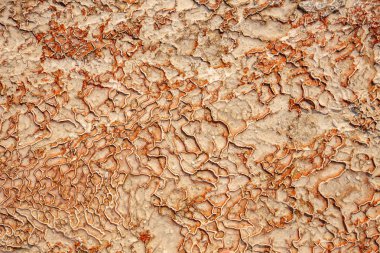 Pamukkale travertin havuzları yüzeyi 