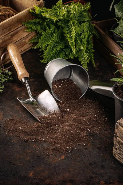 Gardening tools composition — Stock Photo, Image