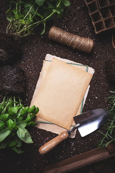 Conceito de jardinagem com cartão de papel Fotos De Bancos De Imagens