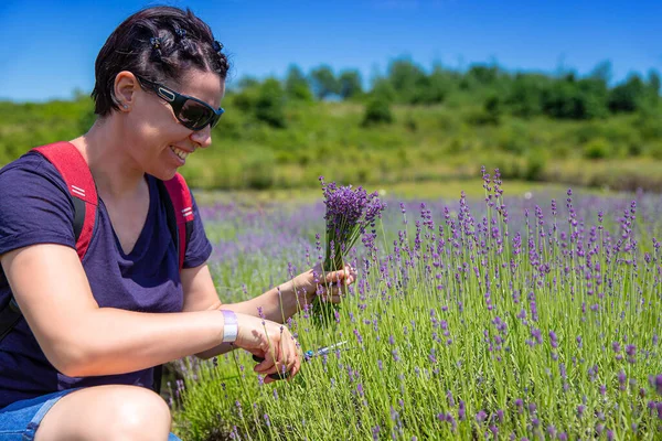 Frau pflückt Lavendelblüten — Stockfoto