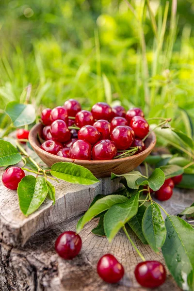 Bowl of fresh sour cherries — Stock Photo, Image