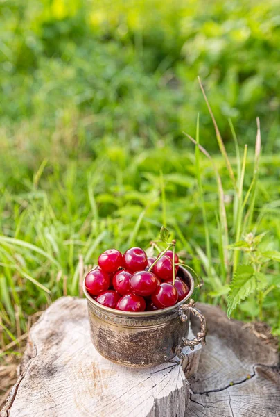 Cerezas rojas frescas —  Fotos de Stock