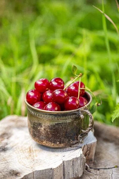 Fresh sour cherries — Stock Photo, Image