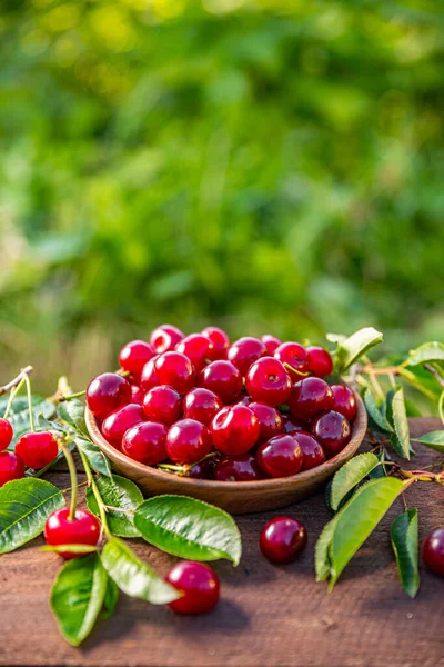 Tigela de cerejas frescas maduras — Fotografia de Stock