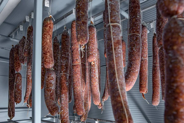 Molde é ótimo para estilos tradicionais de salame — Fotografia de Stock
