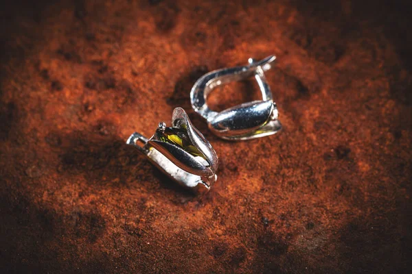Moderne minimalistische zilveren oorbellen — Stockfoto