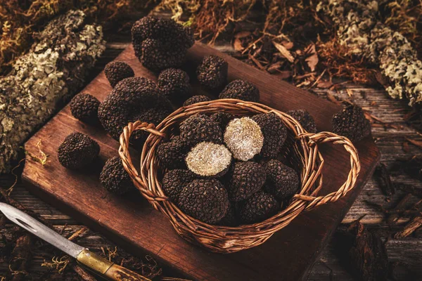 Černé lanýžové houby — Stock fotografie