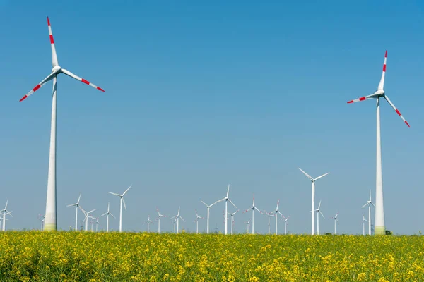Wind Engines Field Blooming Oilseed Rape Seen Rural Germany — Stock Photo, Image