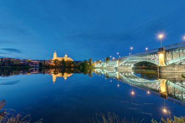 Salamanca Katedrali ve nehir Tormes Puente de Enrique Estevan gece ile
