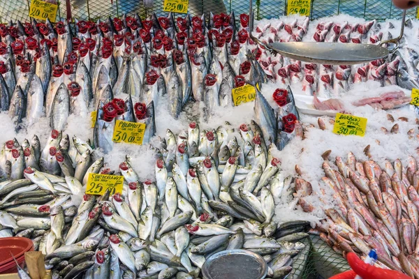 Choice of fish for sale at a market in Istanbul, Turkey