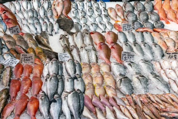 Duży Wybór Ryb Zobaczyć Rynku Londyn — Zdjęcie stockowe
