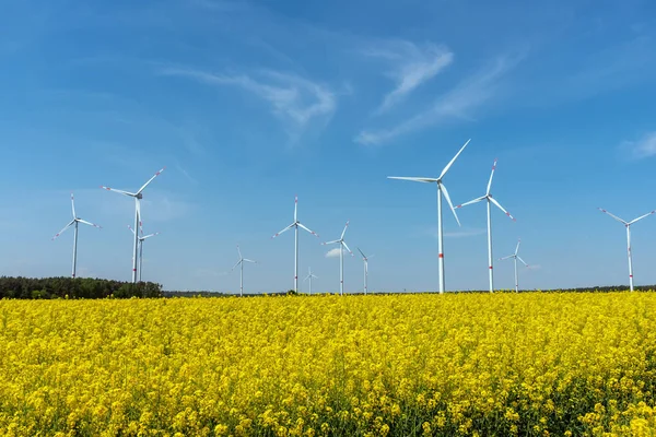 Yellow Blooming Oilseed Rape Some Wind Energy Plants Seen Rural — Stock Photo, Image