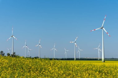 Sarı çiçek açması kolza ve kırsal Almanya'da görülen bazı Rüzgar enerji santralleri