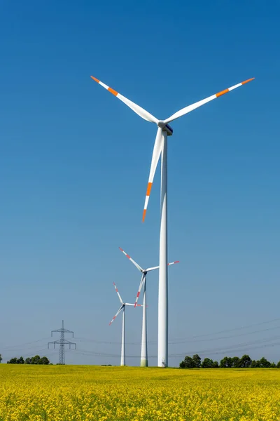 德国在开花油菜领域的风力发电厂 — 图库照片