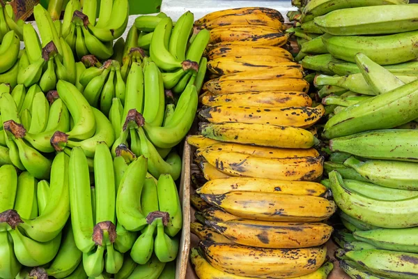Diferentes Tipos Plátanos Venta Mercado Brixton Londres —  Fotos de Stock
