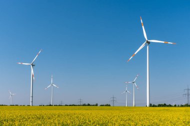 Modern rüzgâr türbinleri ve Almanya'da görülen çiçekli yağlı tohum tecavüz