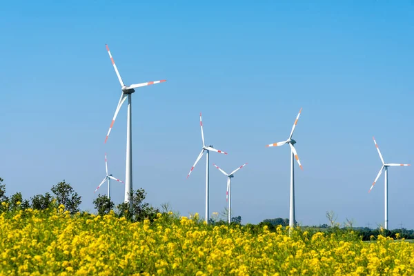 Blossoming Rapeseed Wind Turbines Back Seen Germany — Stock Photo, Image