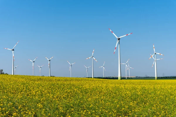 Flowering Rapeseed Wind Turbines Back Seen Germany — Stock Photo, Image