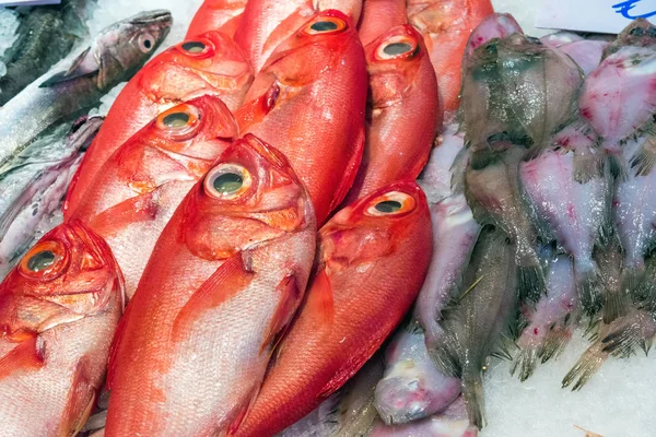 Dorade Rouge Autres Poissons Vendre Dans Marché Madrid — Photo