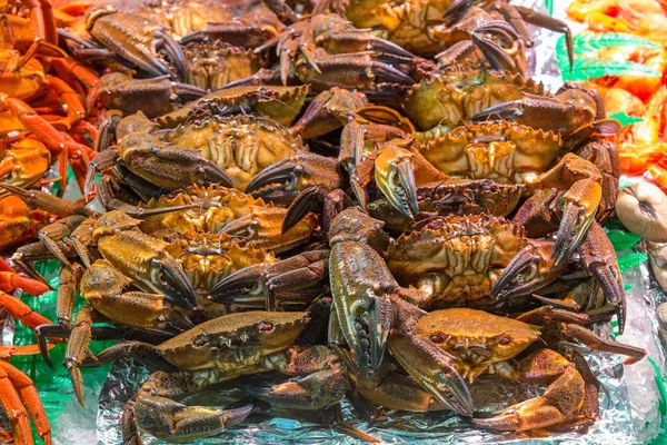 Caranguejos Para Venda Mercado Madrid Espanha — Fotografia de Stock