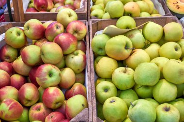 Bir pazarda satılık kırmızı ve yeşil elma