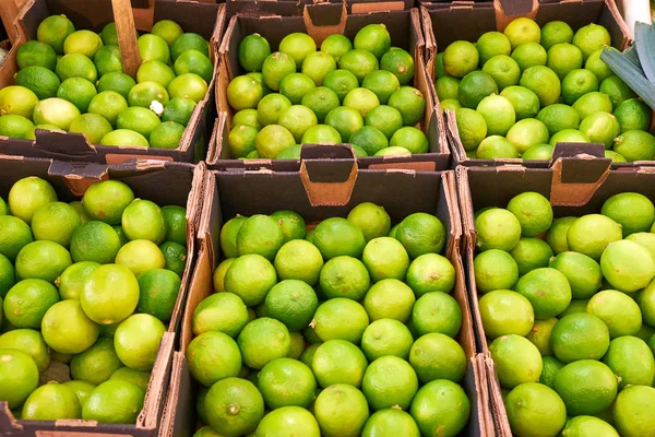 Färska Limefrukter Lådor Till Salu Marknad — Stockfoto