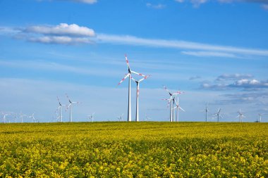 Almanya 'da görülen rüzgar enerjisi jeneratörleri ile çiçekli kanola alanı