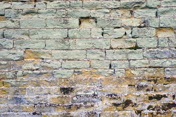 Arrière Plan Vieux Mur Briques Vertes Avec Quelques Moisissures — Photo