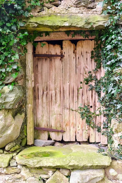Staré Dřevěné Dveře Nějakým Zeleným Břečťanem — Stock fotografie