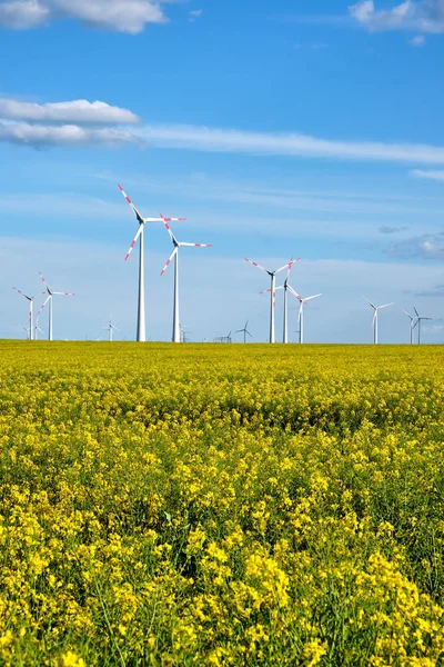 Wind Turbines Flowering Canola Field Seen Germany — Stock Photo, Image