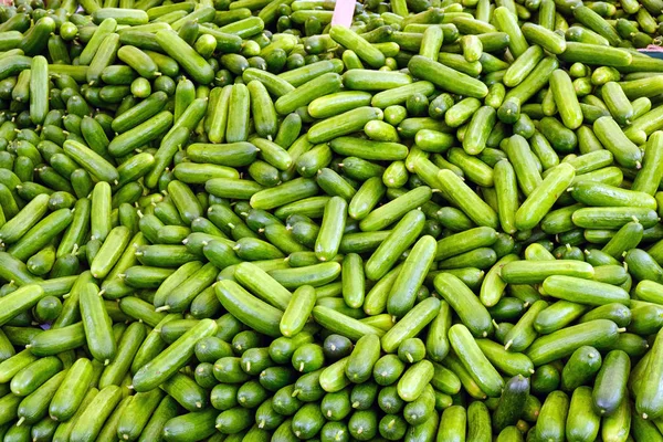 Pickled Cucumber Sale Market — Stock Photo, Image