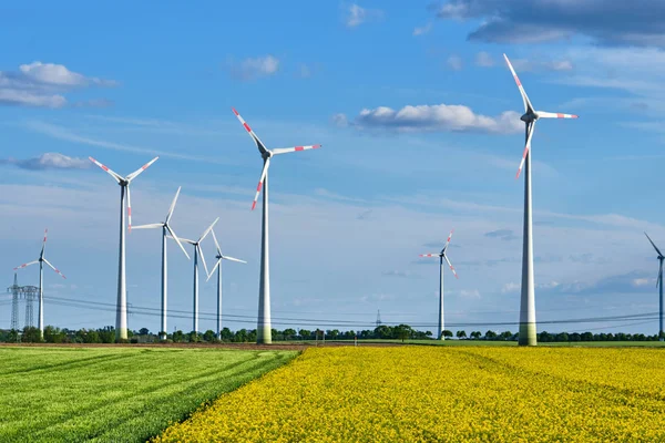 Thriving Rapeseed Field Wind Turbines Power Lines Seen Germany — Stock Photo, Image