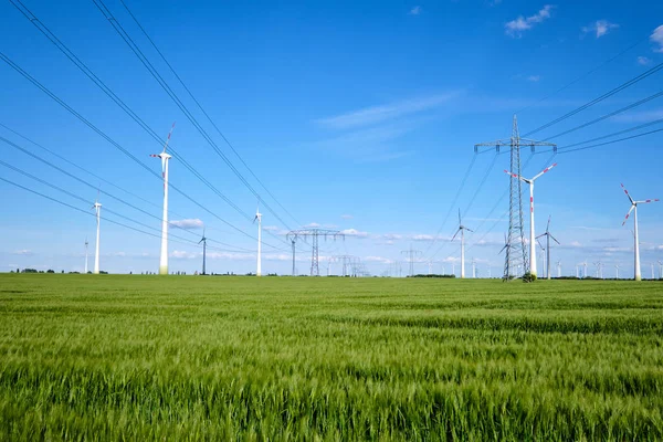 Almanya Görülen Bir Mısır Tarlasında Rüzgar Türbinleri Elektrik Hatları — Stok fotoğraf