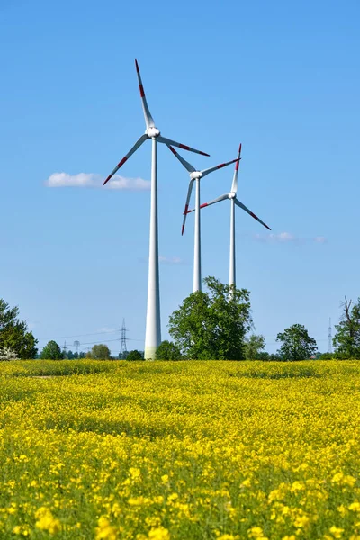 Canola Field Wind Energy Generators Seen Germany — Stock Photo, Image